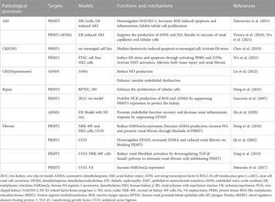 Protein arginine methyltransferases in renal development, injury, repair, and fibrosis